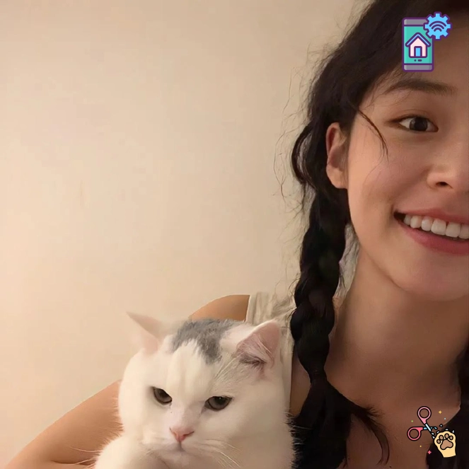 网友阿峰